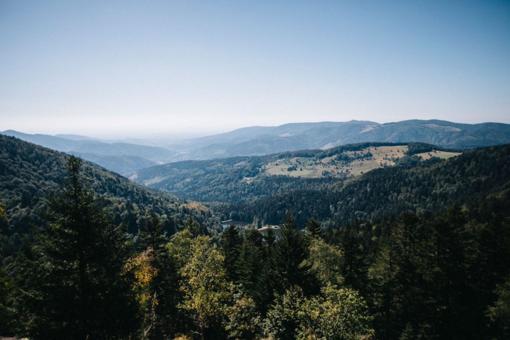 le point de vue sur les lac de Neuheiwer en Alsace. crédit photo : Clara Ferrand - blog Wildroad