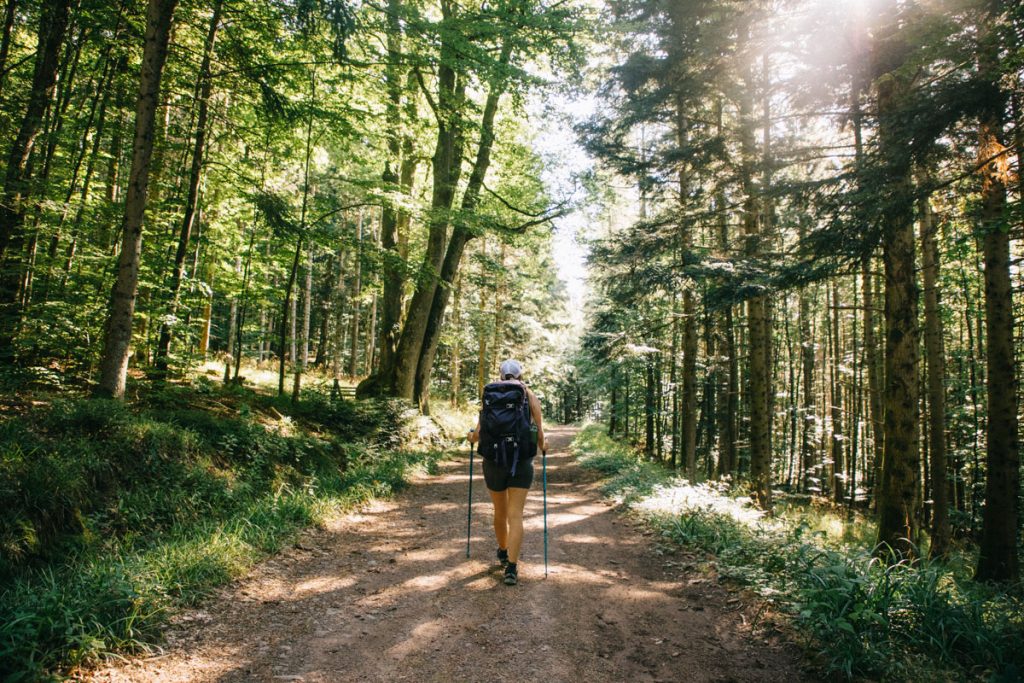 Quelle randonnée faire pour de l'itinérance dans le massif des Vosges ; le sentier du GR5 à partir de Thann. crédit photo : Clara Ferrand - blog Wildroad