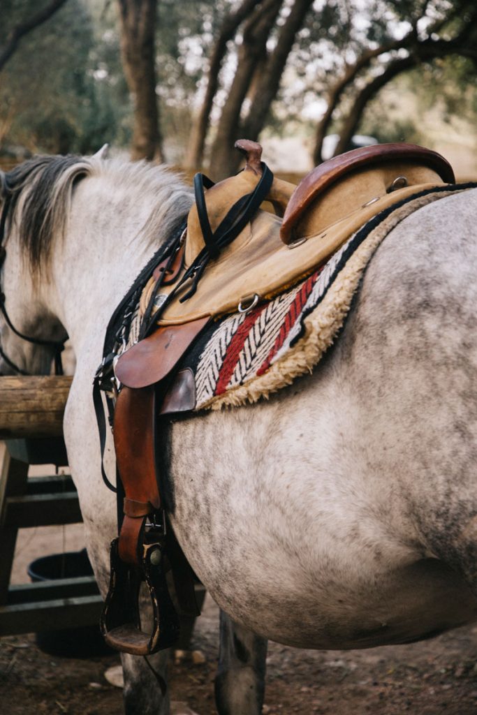 Faire une balade à cheval autour de Bonifacio en Corse. crédit photo : Clara Ferrand - blog Wildroad