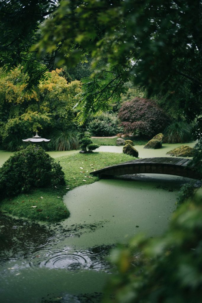 Pont japonais dans l'un des 24 tableau botanique du jardin de Haute-Bretagne. crédit photo : Clara Ferrand - blog Wildroad