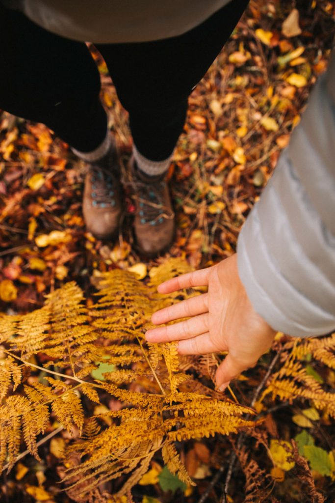 Les couleurs d'automne lors d'un week-end dans le Morvan. crédit photo : Clara Ferrand - blog Wildroad