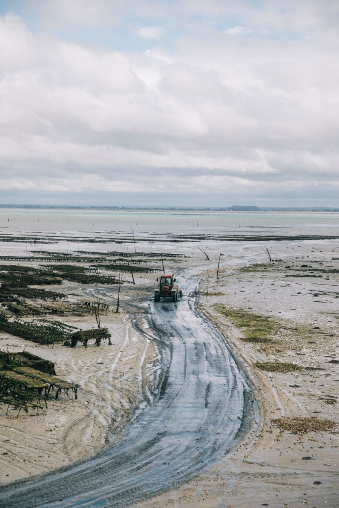 Les parcs à huîtres de Cancale dans la baie du Mont-Saint-Michel. crédit photo : Clara Ferrand - blog Wildroad