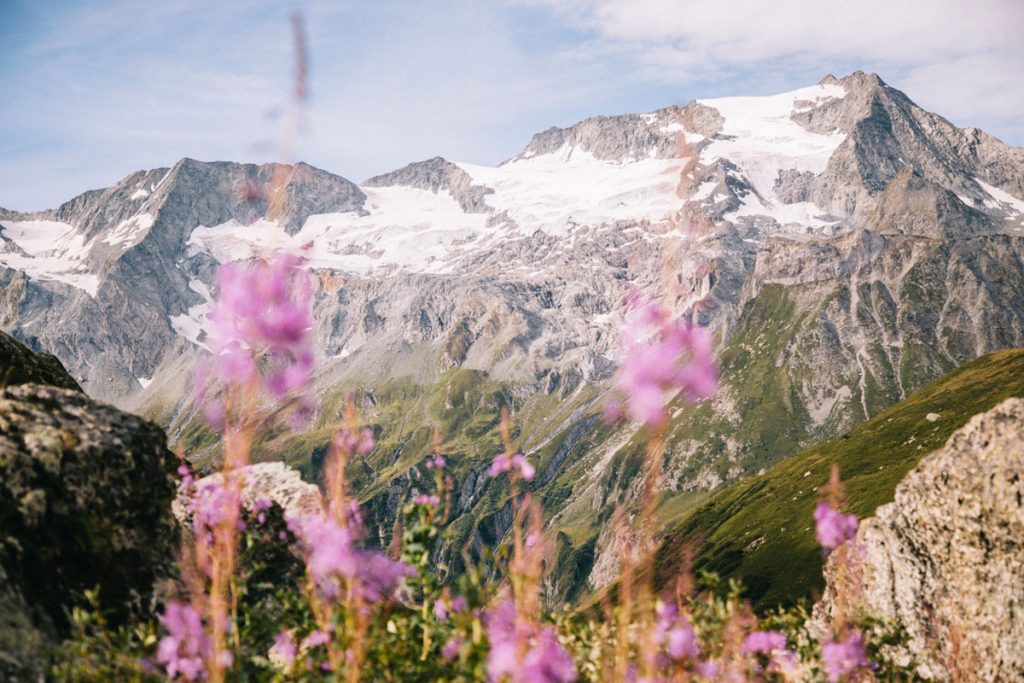 Panorama sur les glaciers de la Vanoise depuis le refuge de Plaisance. crédit photo : Clara Ferrand - blog Wildroad