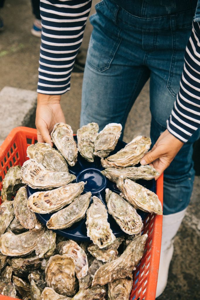 Déguster un plateau d'huître au marché à huître de Cancale en Ille-et-Vilaine. crédit photo : Clara Ferrand - blog Wildroad
