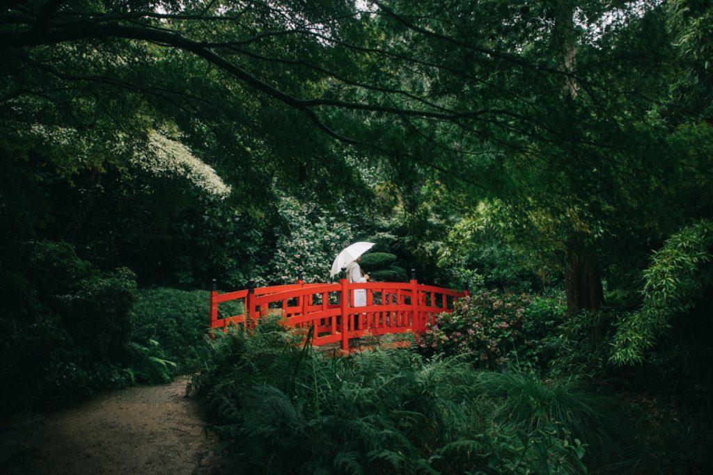 Un tableau japonais du jardin botanique de Haute-bretagne en Ille-et-Vilaine. crédit photo : Clara Ferrand - blog Wildroad