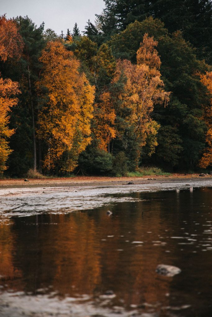 Les couleurs automnale au lac des Settons dans le Morvan. crédit photo : Clara Ferrand - blog Wildroad