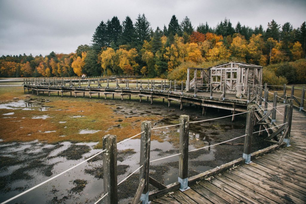 La passerelle sur pilotis lors d'une randonnée autour du lac des Settons en automne. crédit photo : Clara Ferrand - blog Wildroad