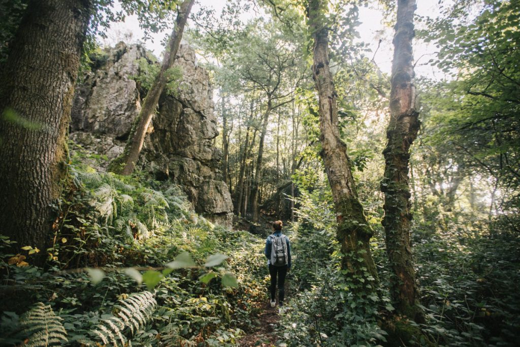 Faire un week-end nature ou une balade autour de Rennes en Bretagne. crédit photo : Clara Ferrand - blog Wildroad