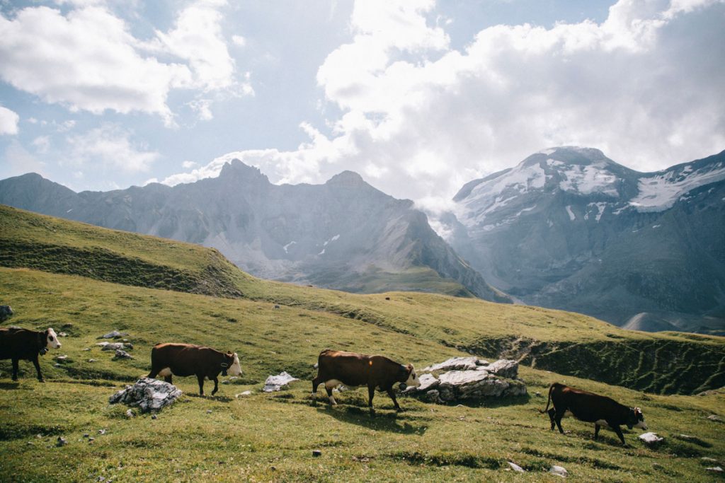 Les alpages en Savoie dans la Vanoise. crédit photo : Clara Ferrand - blog Wildroad