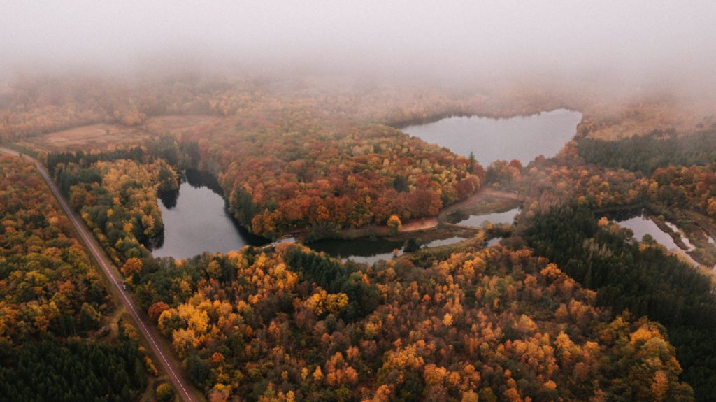 Etang, lac et foret, un week-end nature dans le Morvan. crédit photo : Clara Ferrand - blog Wildroad