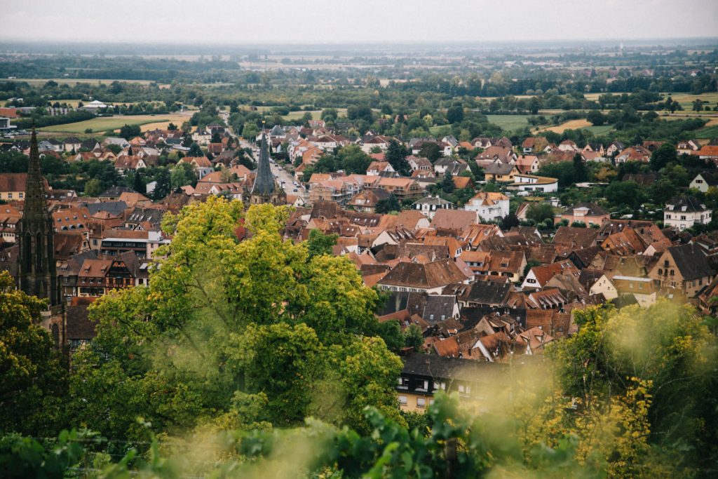Le belvédère du mont National à Obernai en Alsace avec la vue sur le massif des Vosges. crédit photo : Clara Ferrand - blog Wildroad