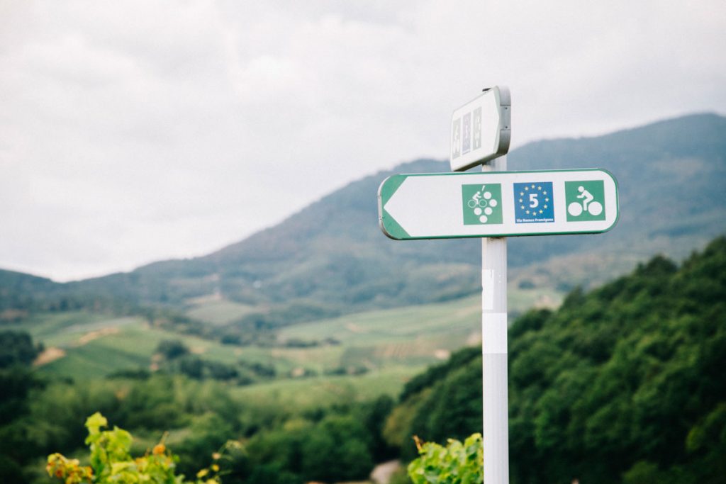 Le balisage de l'itinéraire de la route des vins en Alsace à vélo. crédit photo : Clara Ferrand - blog Wildroad