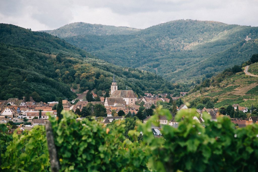 les villages alsacien sur la véloroute du vignoble un itinéraire à vélo. crédit photo : Clara Ferrand - blog Wildroad