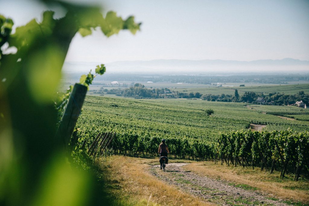Quel itinéraire choisir pour débuter en cyclotourisme en Alsace? crédit photo : Clara Ferrand - blog Wildroad
