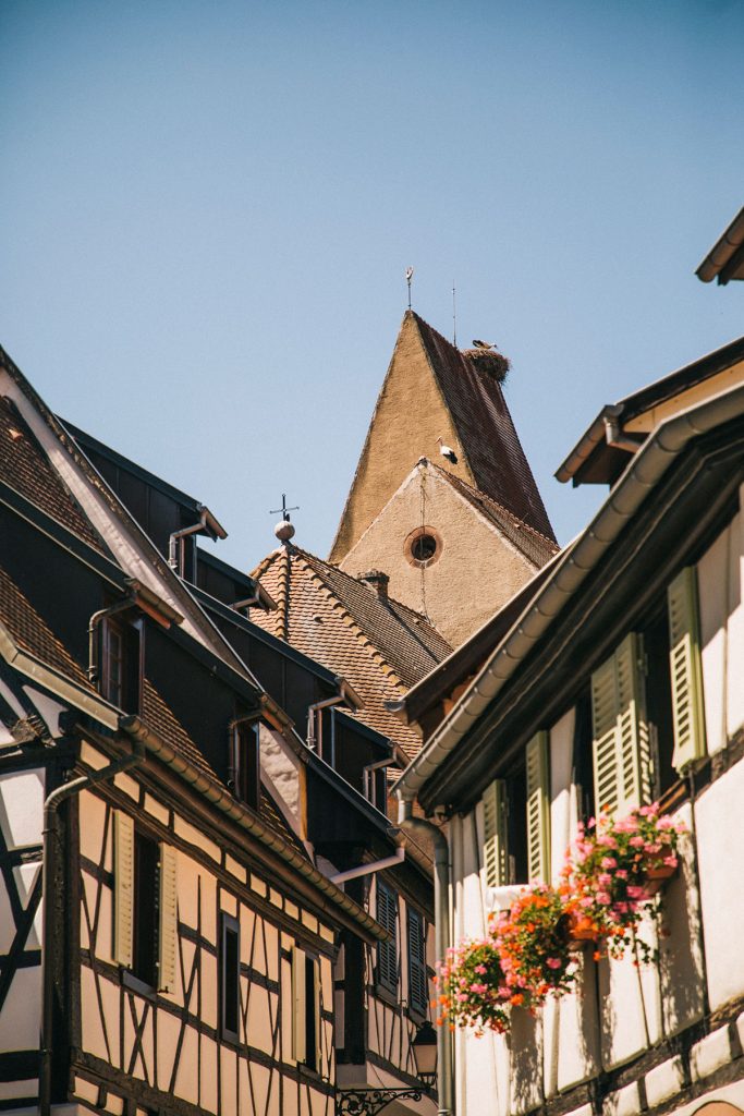 Le nid de cigogne dans le village d'Eguisheim. crédit photo : Clara Ferrand - blog Wildroad