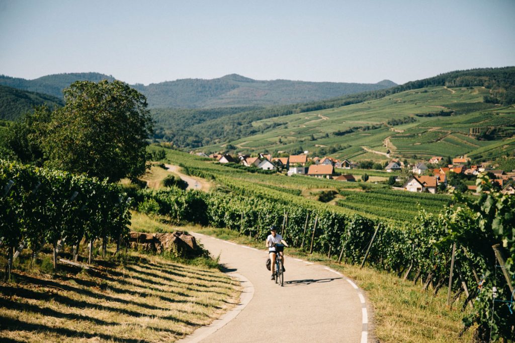 Où partir en été pour un itinéraire à vélo sur une semaine en Alsace. Crédit photo : Clara Ferrand - blog Wildroad