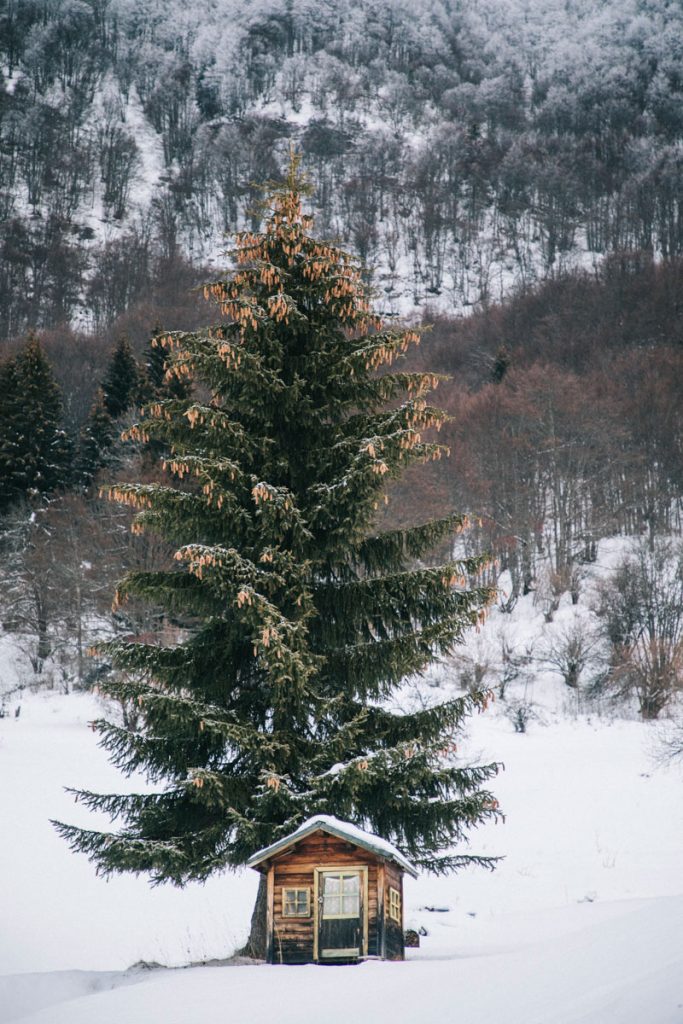 La niche du chien aux granges de Joigny. crédit photo : Clara Ferrand - blog Wildroad