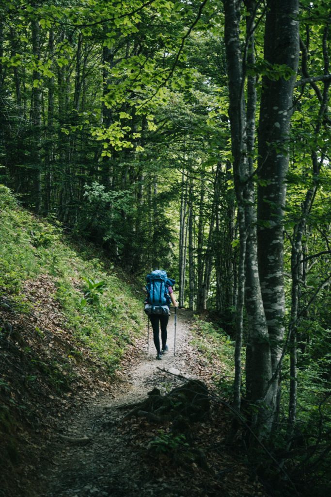 Le sentier de randonnée pour accéder au sommet de la pointe de la Galoppaz dans les bauges. crédit photo : Clara Ferrand - blog Wildroad