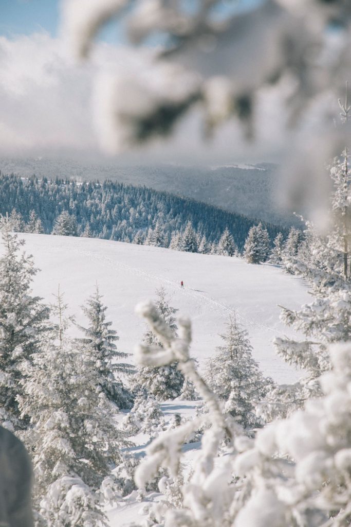 Randonnée du Petit Ballon au départ de Linthal dans le massif des Vosges. crédit photo : Clara Ferrand - blog WIldroad