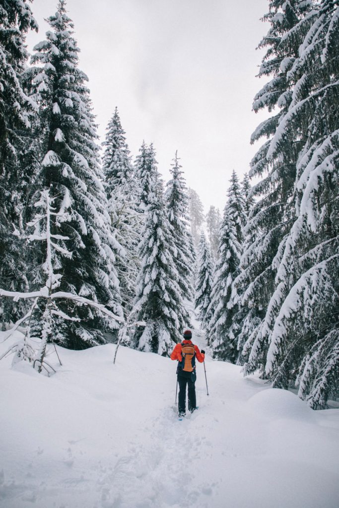 Quel sentiers de randonnée choisir pour une balade dans les Belledonnes accessible depuis Chambery. crédit photo : Clara Ferrand - blog Wildroad