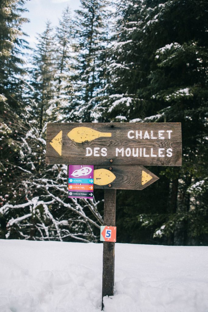 Les sentiers balisé autour du Collet d'Allevard. crédit photo : Clara Ferrand -blog Wildroad