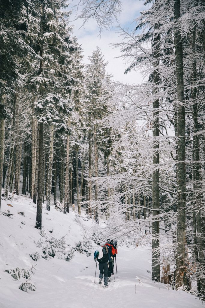 Randonnée en direction du Petit Ballon par Mullermatt. crédit photo : Clara Ferrand - blog Wildroad