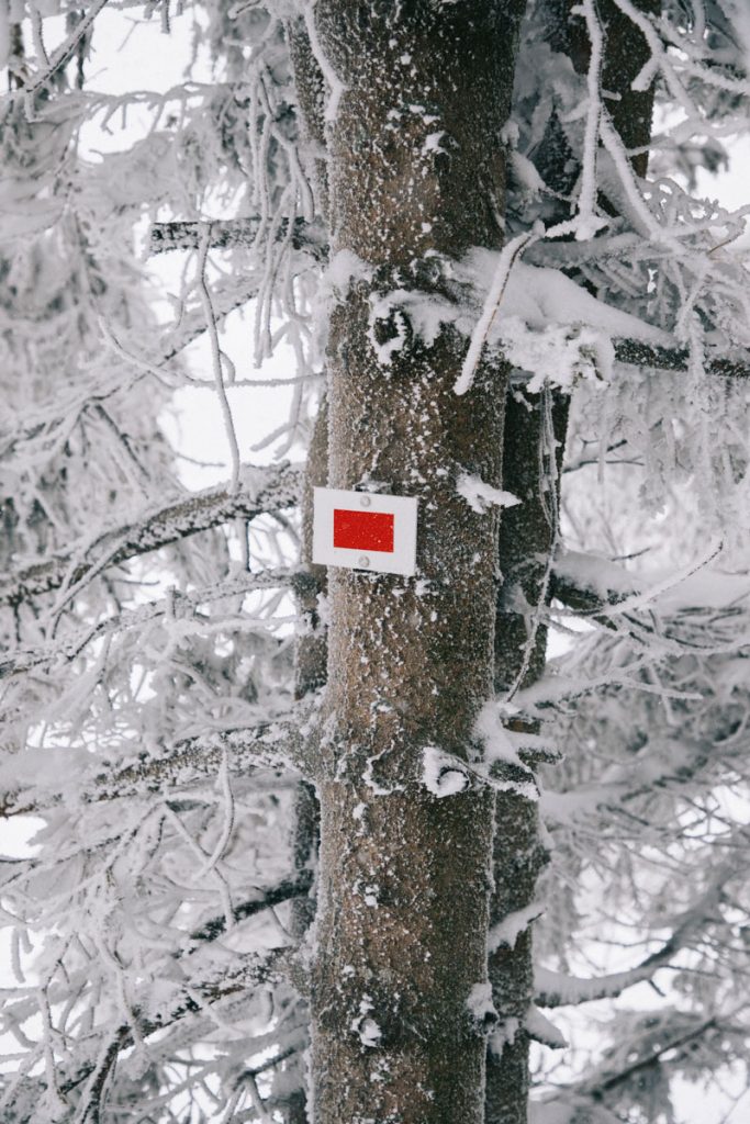 Faire le GR5 en hiver dans le massif des Vosges. crédit photo : Clara Ferrand - blog Wildroad