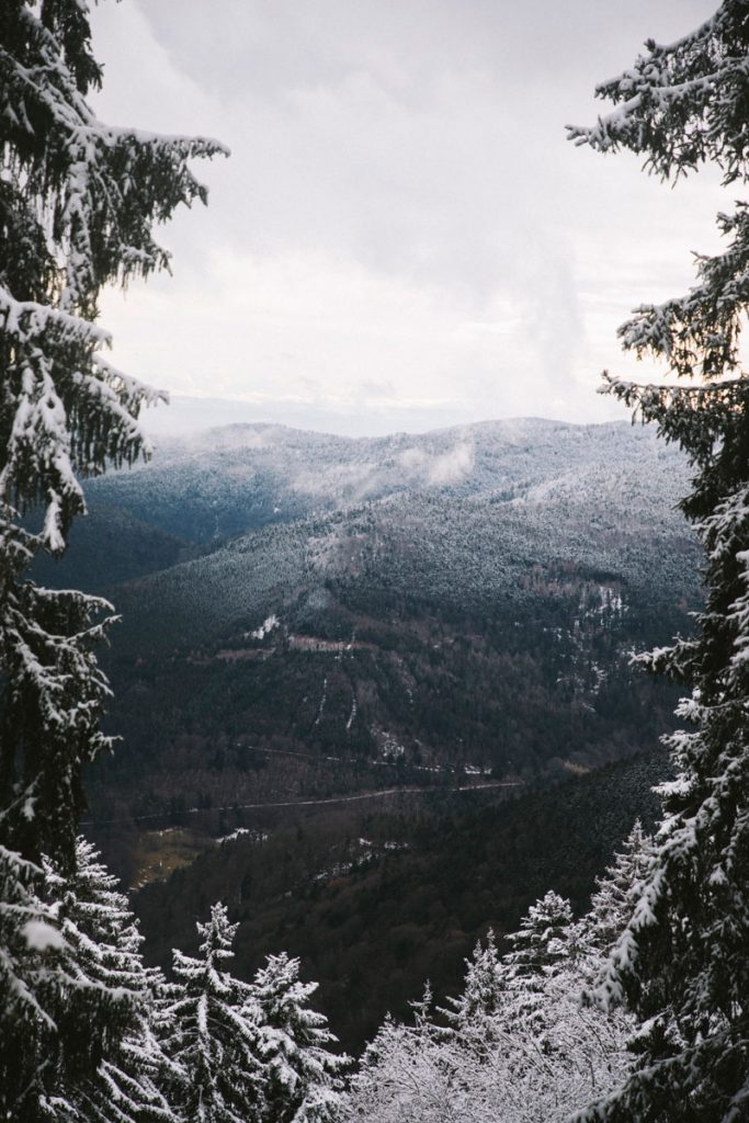 Les randonnées autour du petit Ballon à faire dans le massif des Vosges. crédit photo : Clara Ferrand - blog Wildroad