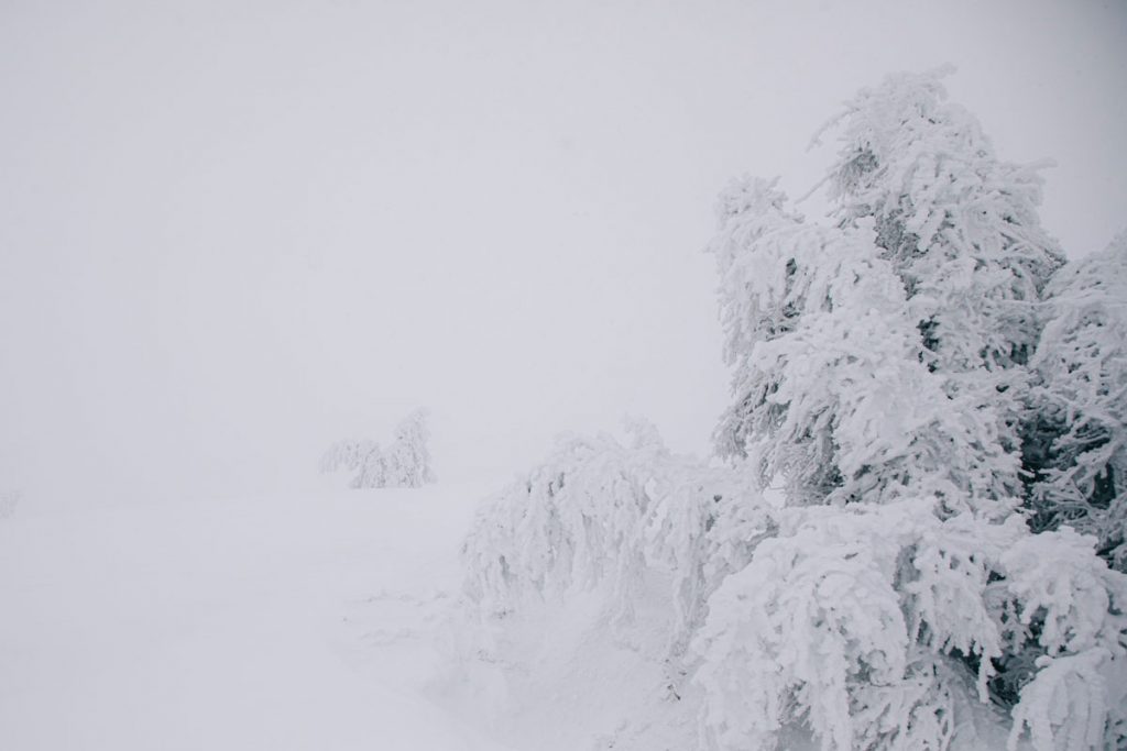 Le markstein en hiver avec la neige. crédit photo : Clara Ferrand - blog Wildroad