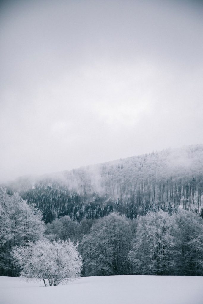 la station de ski du Markstein en hiver dans le Massif des Vosges. crédit photo : Clara Ferrand - blog Wildroad