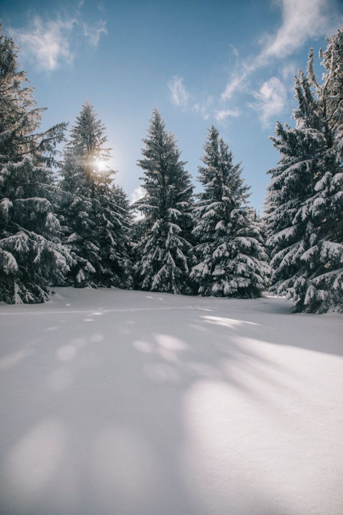 Le massif des Vosges sous la neige. crédit photo : Clara Ferrand - blog Wildroad