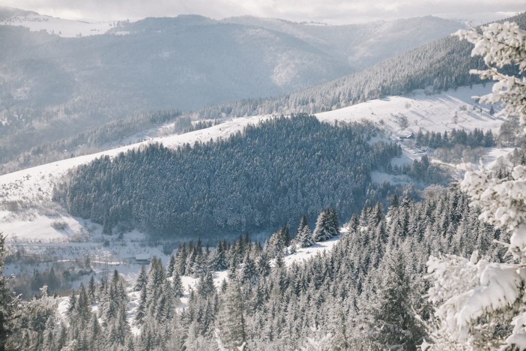Panorama sur le Markstein depuis Steinmauher. crédit photo : Clara Ferrand - blog Wildroad