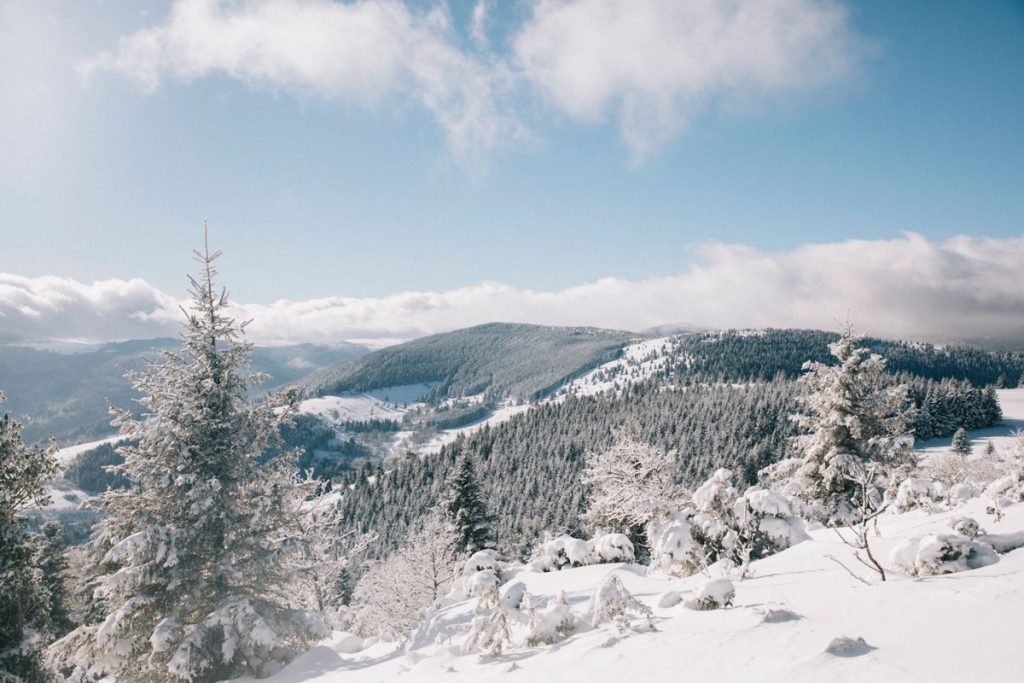 Panorama sur le massif des Vosges enneigé depuis le sommet de Steinmauer. crédit photo : Clara Ferrand - blog Wildroad