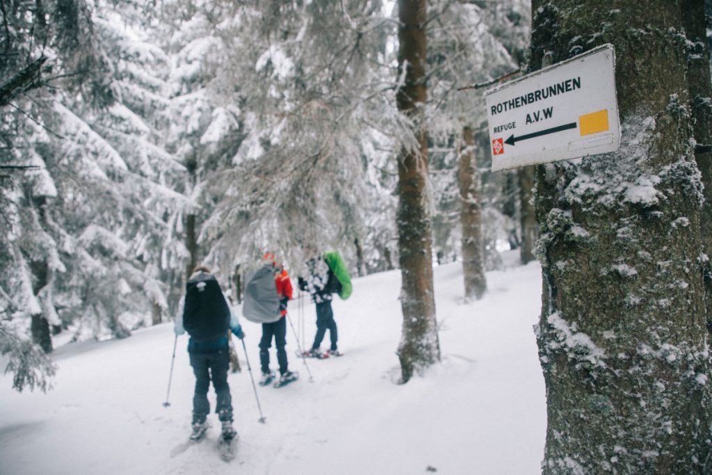 Randonnée autour du Petit Ballon en Alsace. crédit photo : Clara Ferrand - blog Wildroad