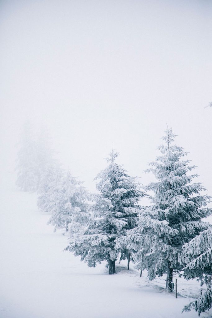 Le sommet du petit Ballon avec une tempête de neige. crédit photo : Clara Ferrand - blog Wildroad