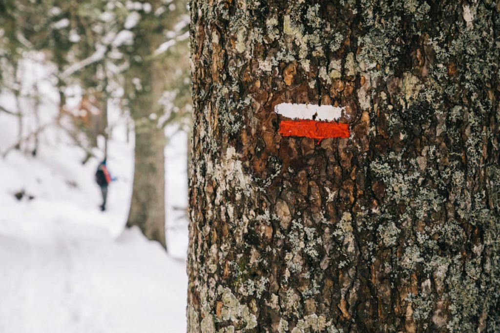 Balisage pour faire la randonnée des lacs d'Ayous en hiver dans les Pyrénées. crédit photo : Clara Ferrand - blog Wildroad
