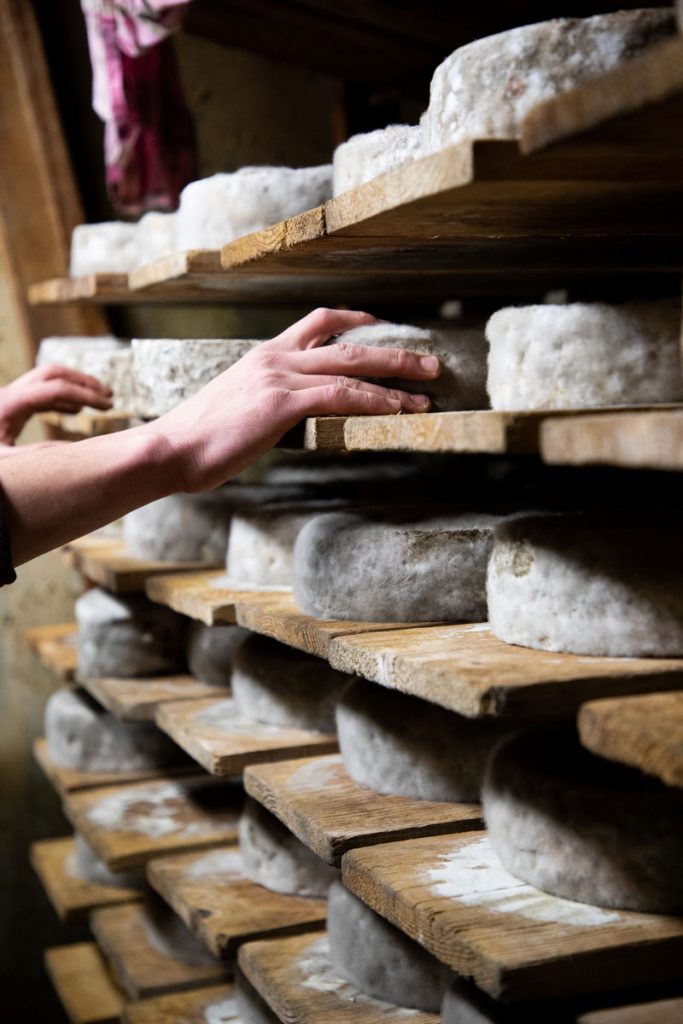 L'affinage de la tomme de Savoie dans une cave. crédit photo : Clara Ferrand - blog Wildroad