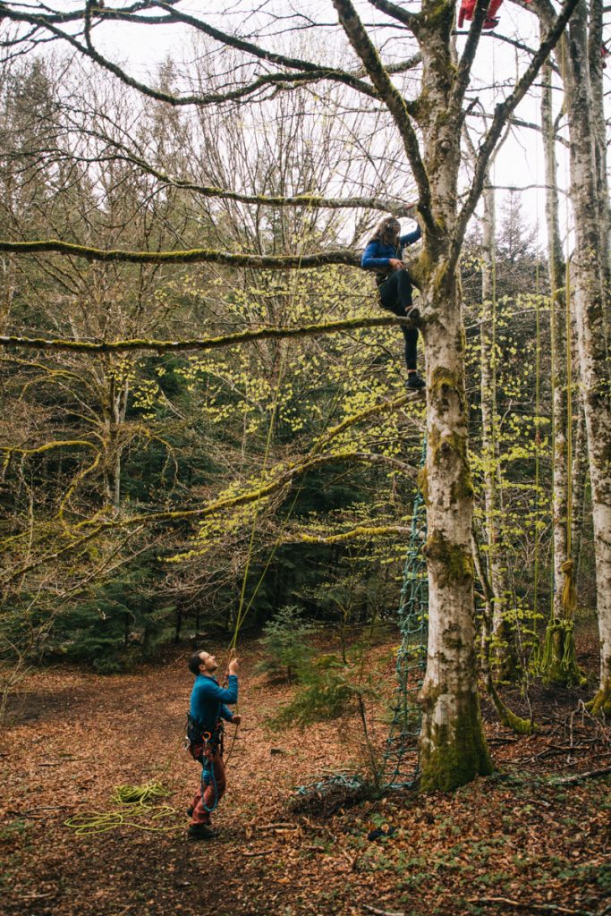 Activité insolite à faire dans la Loire : la grimpe d'arbre dans le Forez. crédit photo : Clara Ferrand - blog Wildroad