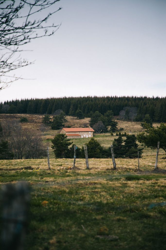 Les jasseries dans les Hautes-Chaumes du Forez. crédit photo : Clara Ferrand - blog Wildroad