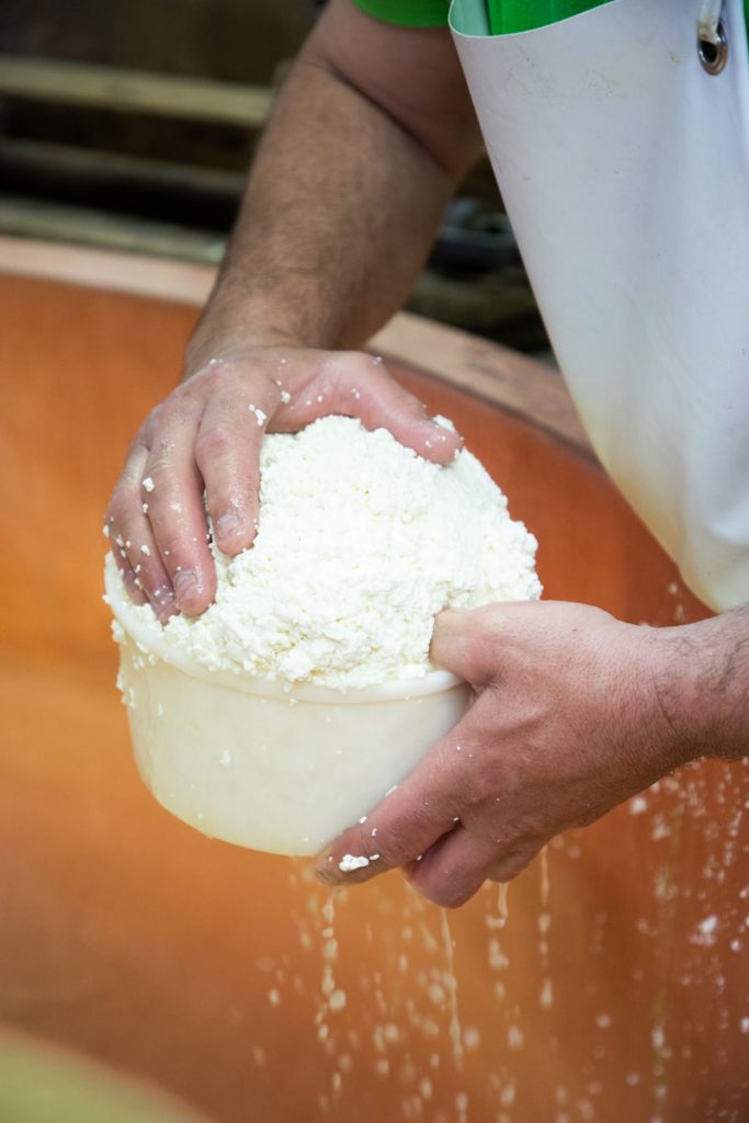 production artisanal dans une ferme savoyarde de la Tomme de Savoie. crédit photo : Clara Ferrand - blog Wildroad