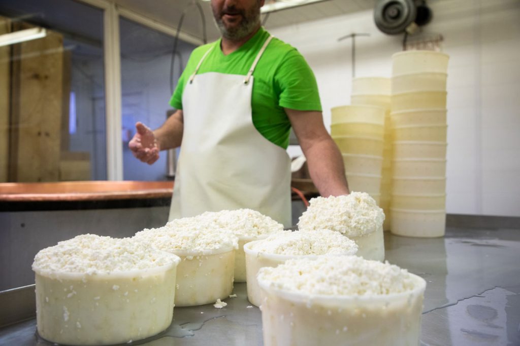 Le degaillage, une étape importante de la fabrication de la Tomme de Savoie. crédit photo : Clara Ferrand - blog Wildroad