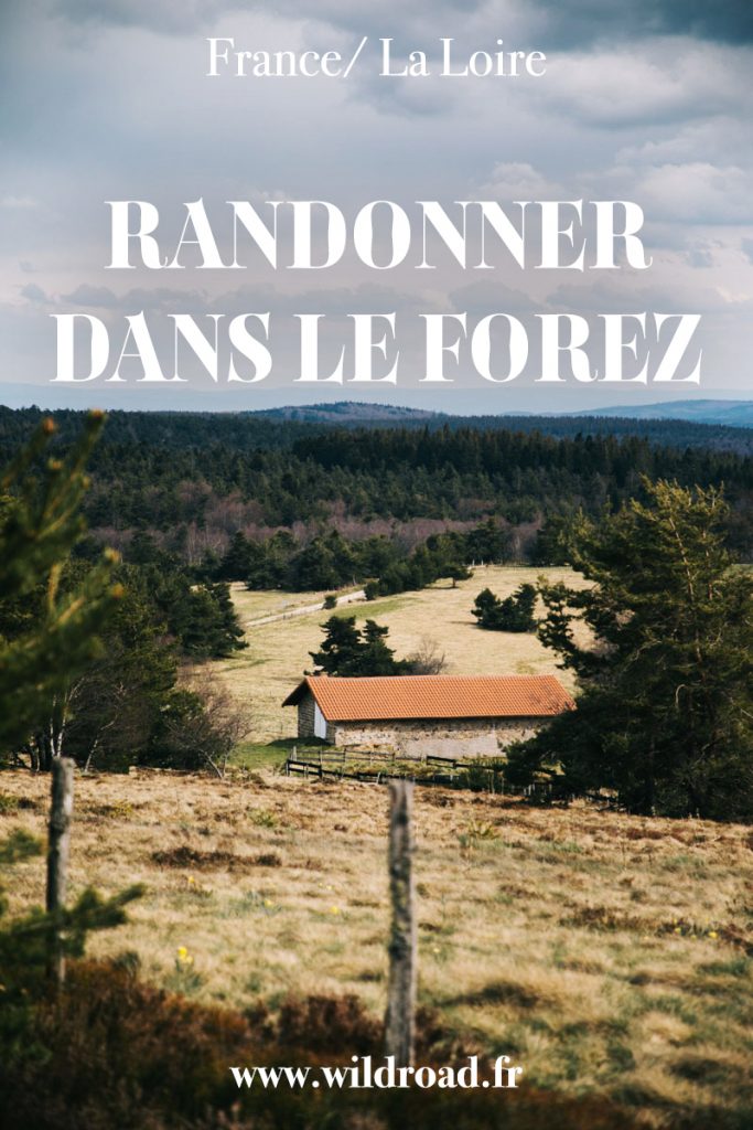 Partez faire une randonner dans le Forez pour découvrir les paysages de la Loire à travers le GR3. Un itinéraire avec de jolie paysages pour découvrir une France sauvage. crédit photo : Clara Ferrand - blog Wildroad #forez #randonnée #GR3 #hauteschaumes #laloire