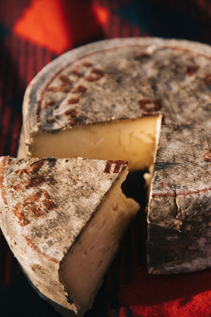 Degustation de la Tomme de Savoie dans une ferme. crédit photo : Clara Ferrand - blog Wilrdoad