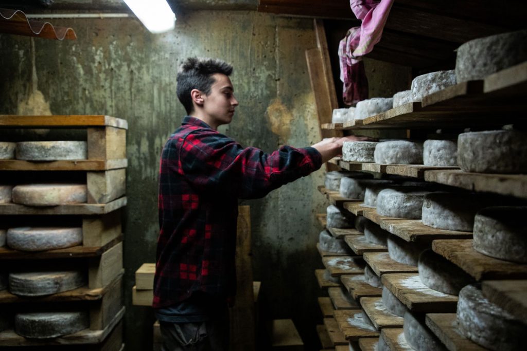 l'étape de l'affinage de la Tomme de Savoie pour un bon fromage. crédit photo : Clara Ferrand - blog Wildroad