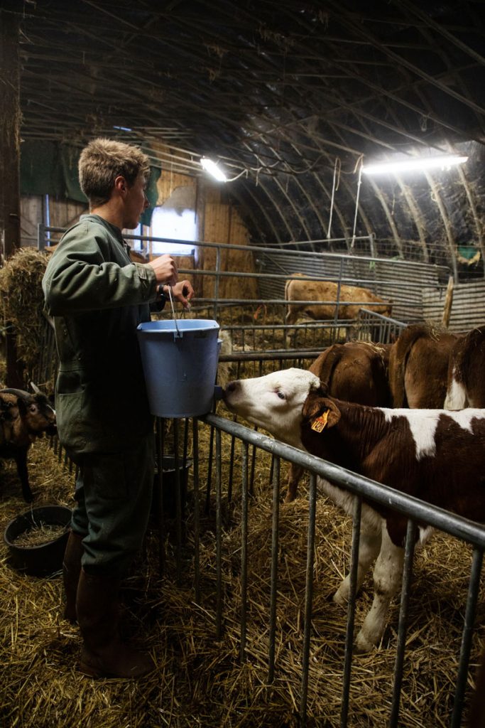 Suivre le quotidien d'un fermier producteur de Tomme de Savoie. crédit photo : Clara Ferrand -blog Wildroad