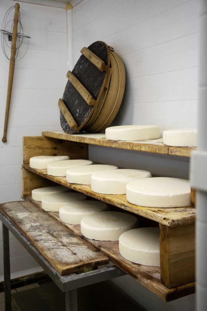 Des tommes de Savoie fraichement préparées. crédit photo : Clara Ferrand - blog Wildroad