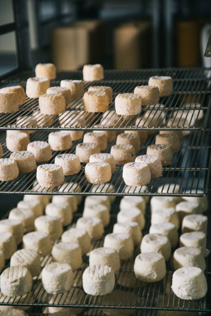 production de fromage fermier dans le Forez. crédit photo : Clara Ferrand - blog Wildroad