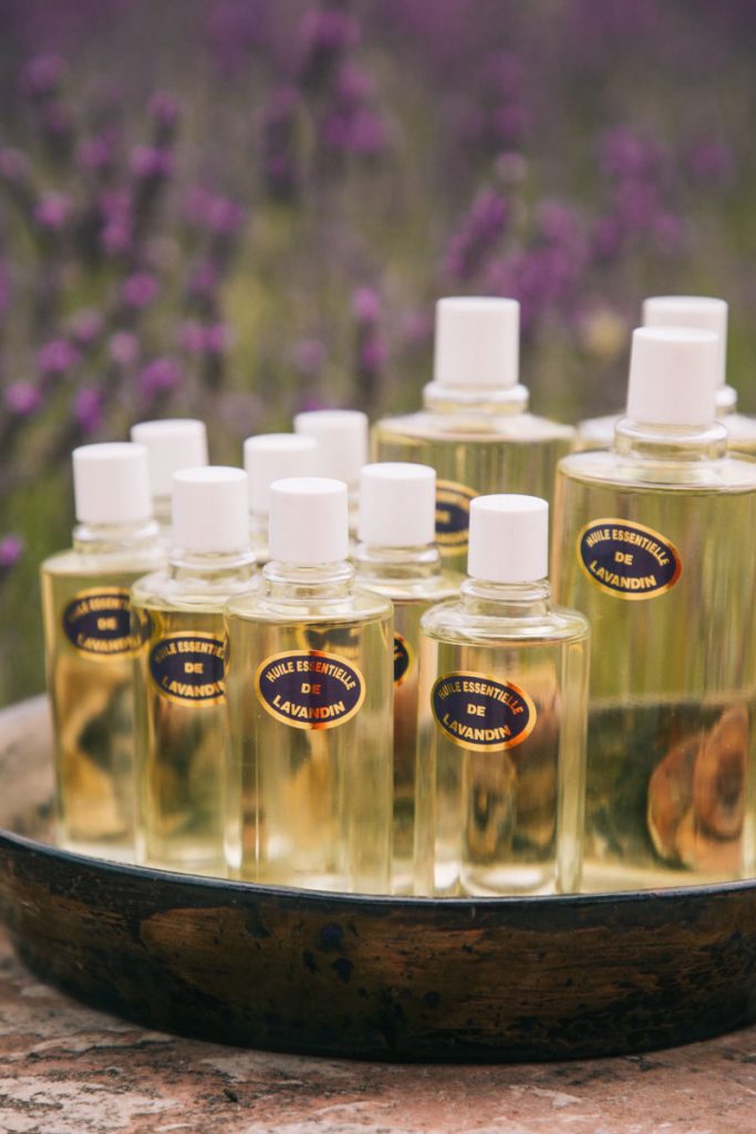 Comment est fabriqué l'huile essentielle de lavande. crédit photo : Clara Ferrand - blog Wildroad