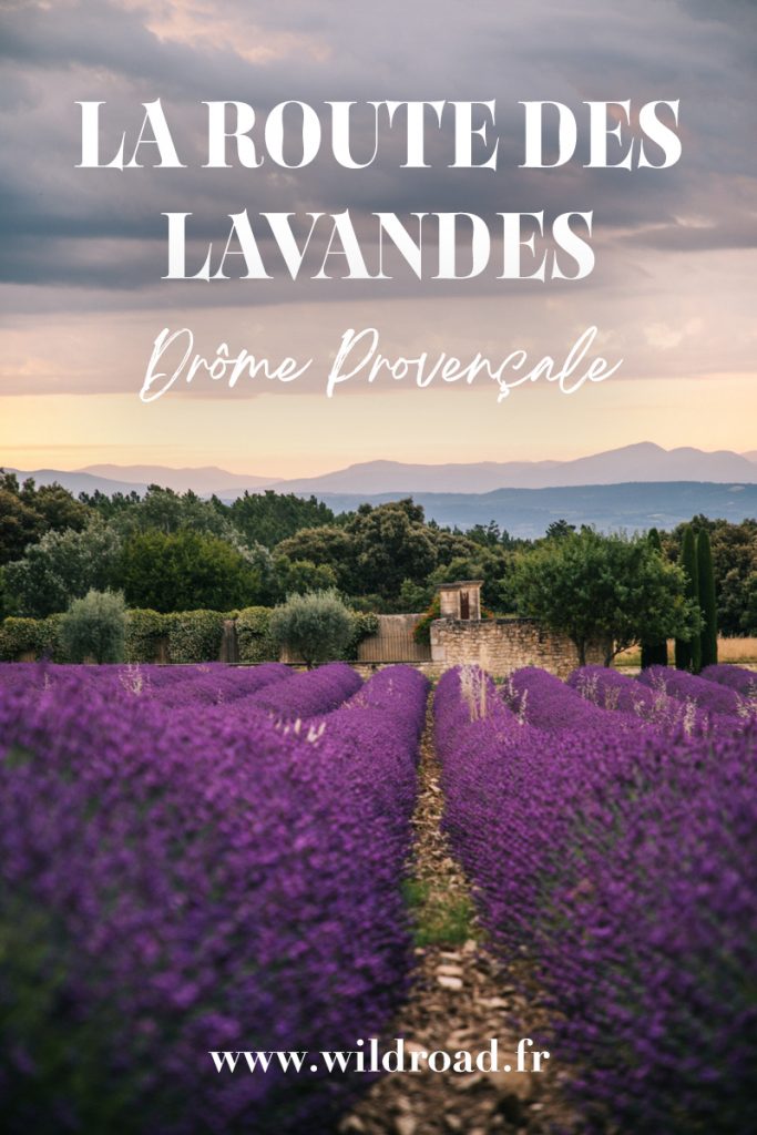 La route des lavandes dans la Drôme Provençale. Des idées d'activités à faire autour des champs de lavandes. Visitez les plus beaux villages perché et les marchés provençaux. crédit photo : Clara Ferrand - blog Wildroad #drômeprovençale #lavande #champsdelavande #drôme #france #weekend #villageperché