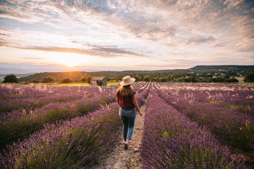 Quels sont les spot photo pour les champs de lavandes dans la Drôme Provençale. crédit photo : Clara Ferrand - blog WIldroad